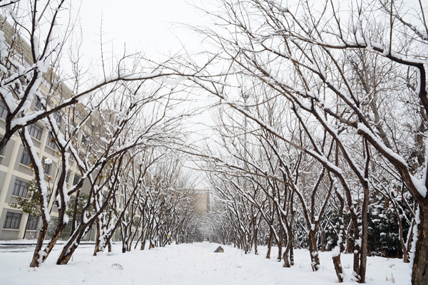 校園雪景