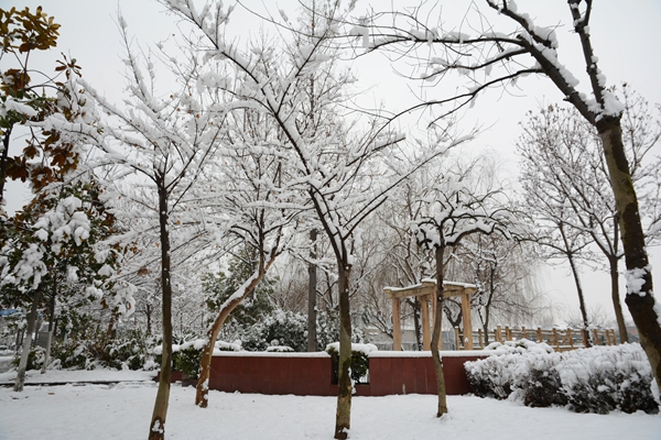 校園雪景